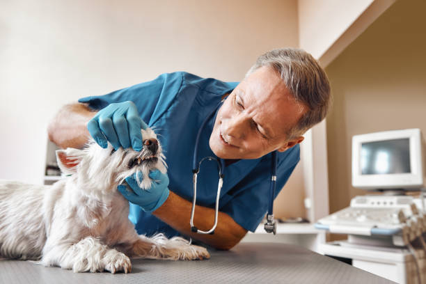Best Dental Abscess Treatment in Columbus, KS